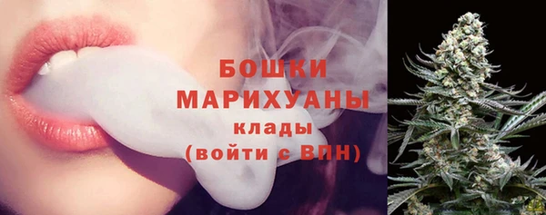 прущие грибы Майский