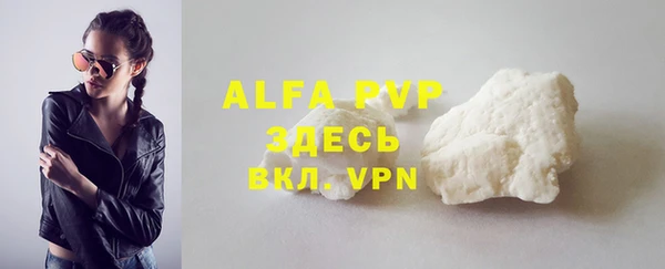 прущие грибы Майский