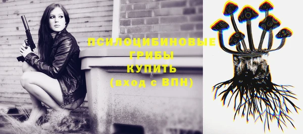 прущие грибы Майский