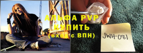 прущие грибы Майский